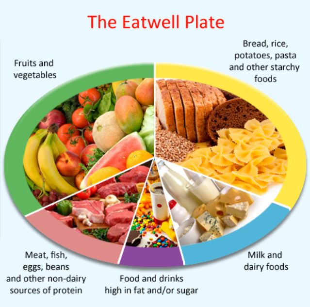 eatwell plate 2 jpeg